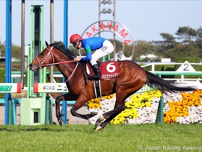 Review: Japanese Raiders Capture 2022 Godolphin Mile with ... Image 1